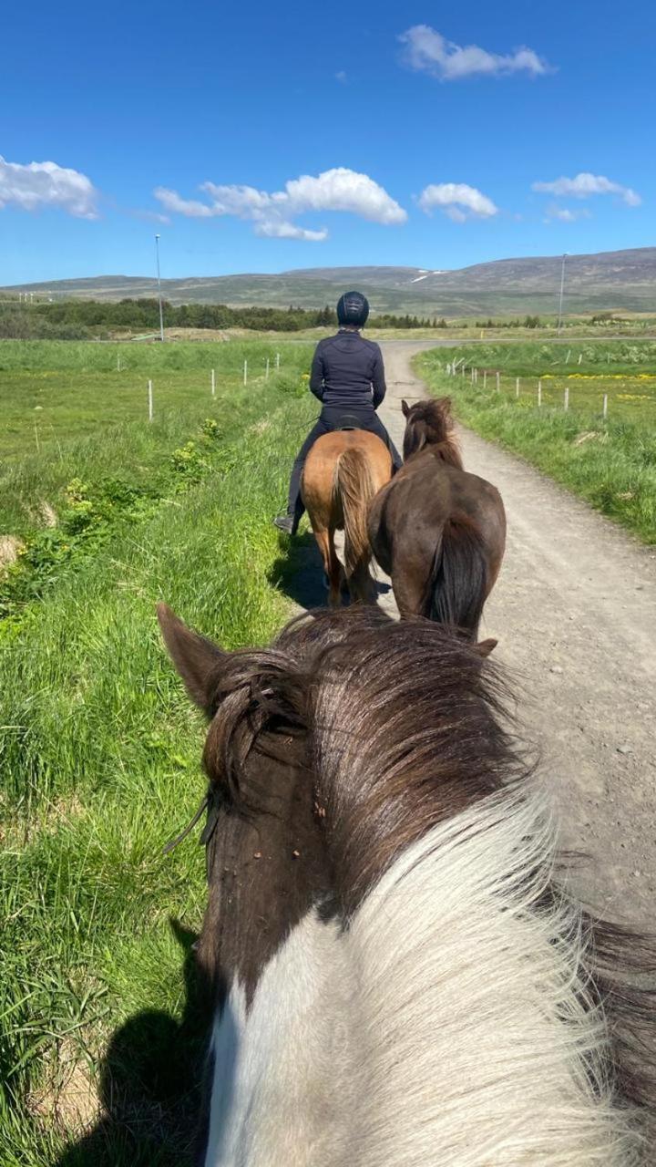 Fornilaekur Guesthouse Blonduos Exteriör bild