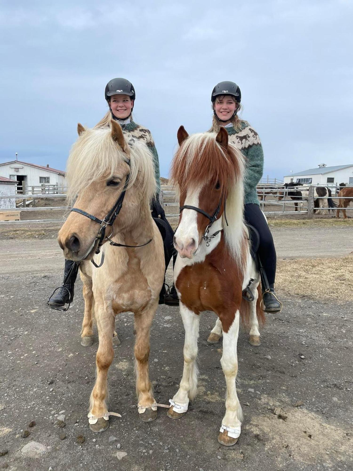 Fornilaekur Guesthouse Blonduos Exteriör bild